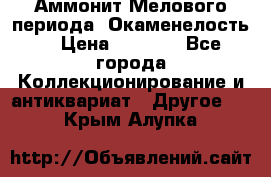 Аммонит Мелового периода. Окаменелость. › Цена ­ 2 800 - Все города Коллекционирование и антиквариат » Другое   . Крым,Алупка